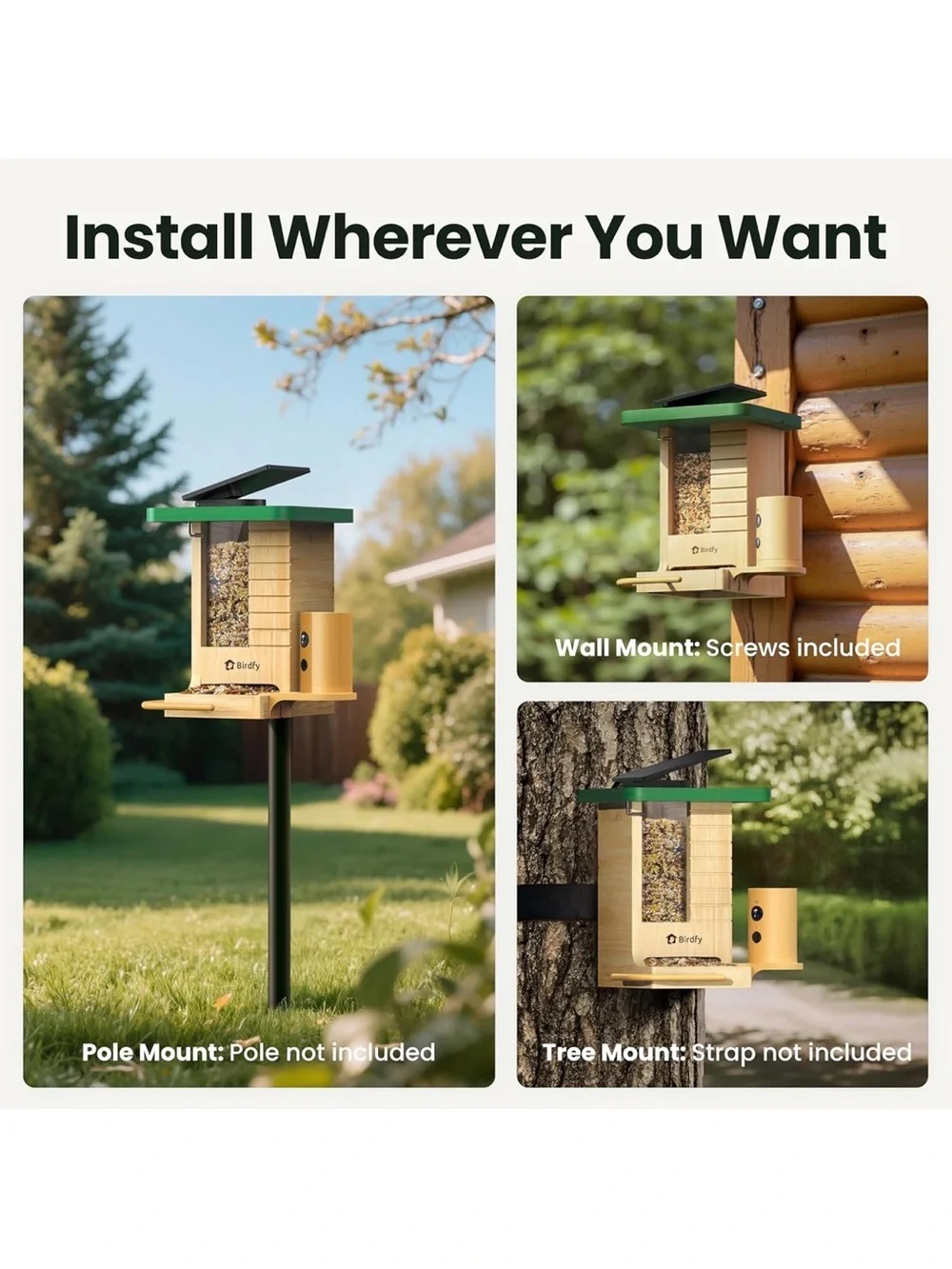 Birdfy Smart Bird Feeder with Camera Solar Powered
